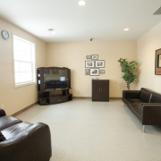 Living room area has 2 brown couches and a television stand and tv. Several pictures are hung on the wall and a tall green plant is nestled in the corner.
