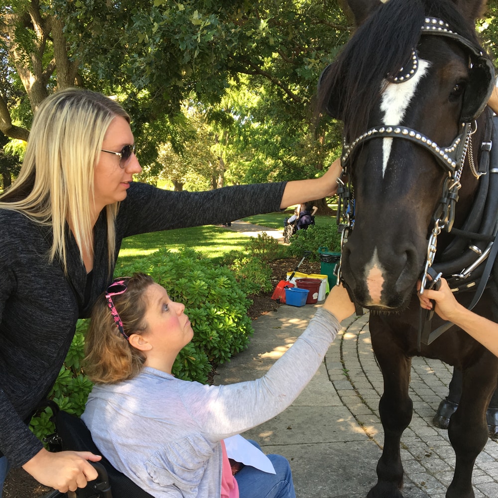 Female client in wheel chair with female staff petting a horse for pet therapy in a park